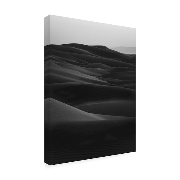 Design Fabrikken 'Black Dunes Fabrikken' Canvas Art,35x47